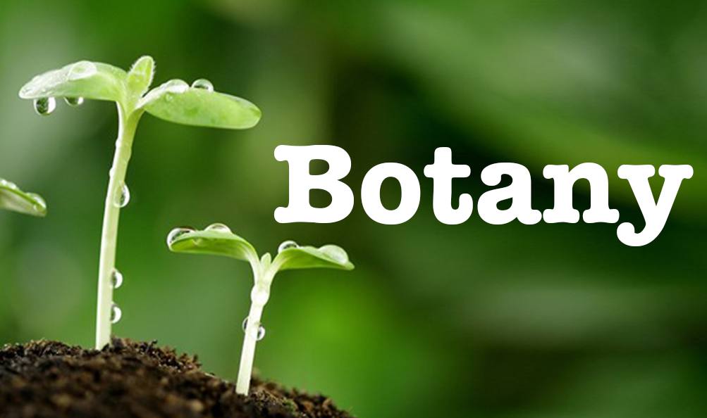 Requirements for Botany in Unilag